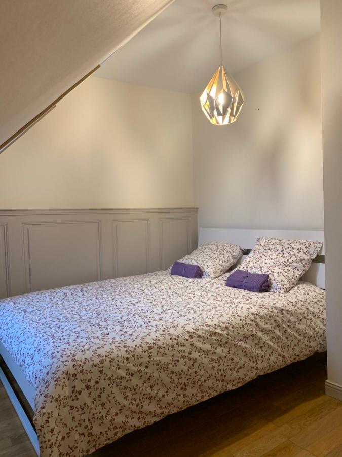 Historical Town Center Spacious Flat Colmar Ngoại thất bức ảnh