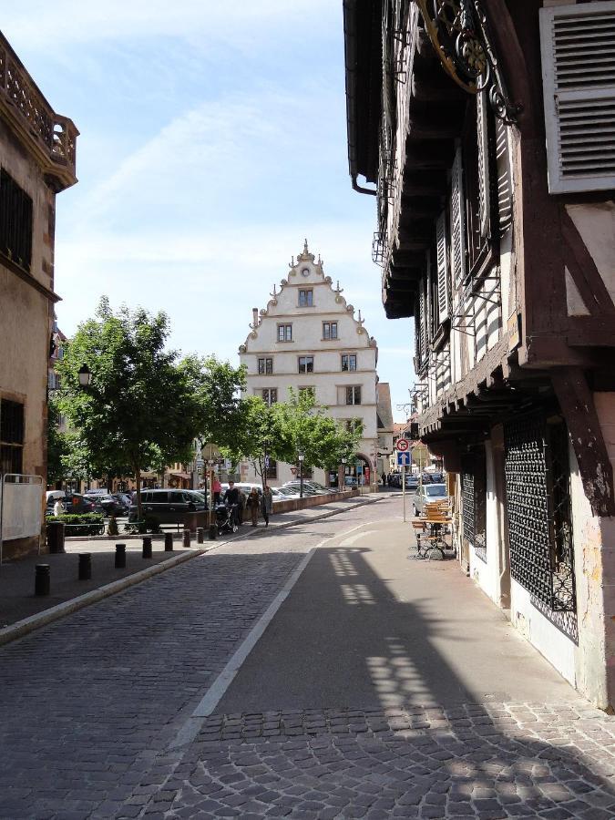 Historical Town Center Spacious Flat Colmar Ngoại thất bức ảnh