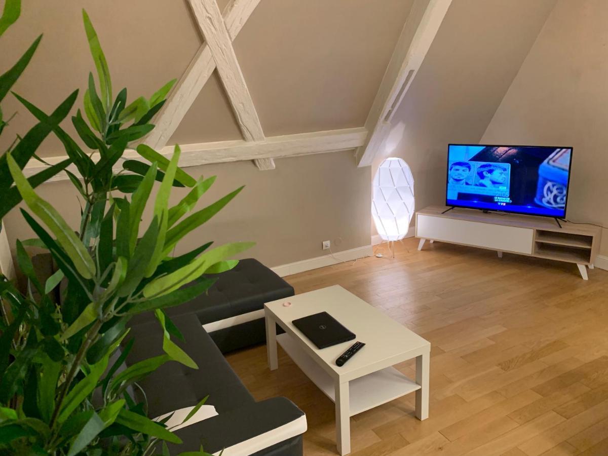 Historical Town Center Spacious Flat Colmar Ngoại thất bức ảnh