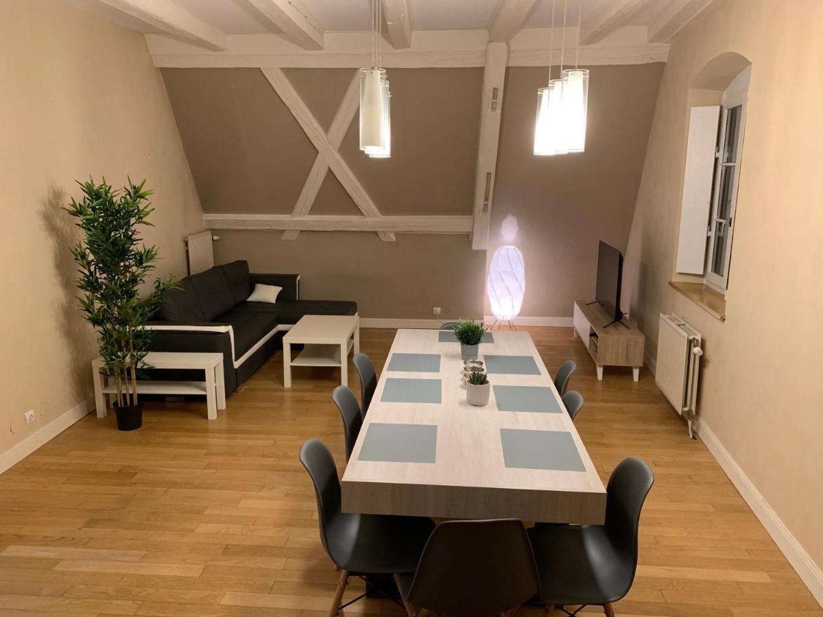 Historical Town Center Spacious Flat Colmar Ngoại thất bức ảnh